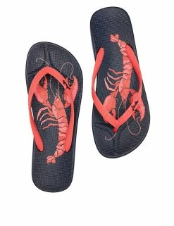 Best deal ⭐ Joules 🩴 Sandals Lobster Print Flip Flops 🔔 -New In Womens Sales 2022 SD 10 T83 2188 F4 X EC 1